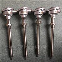 wzp赫(he)斯曼溫度傳(chuan)感器